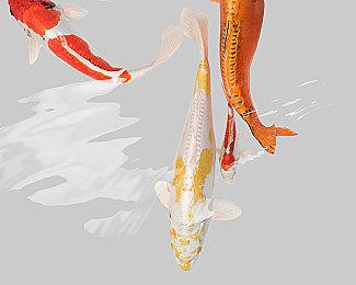 日本一SRPG《星之深渊酒吧》试玩发布 2月29日主机发售